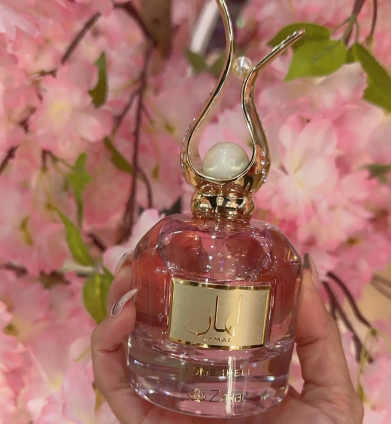 Zakat Lamar Bomshell